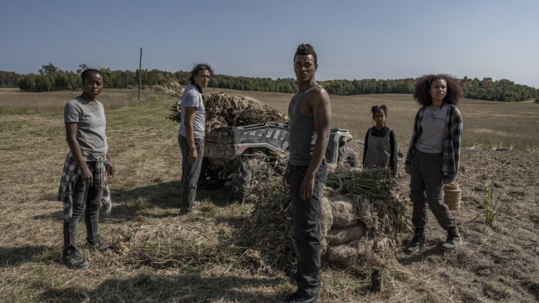 40 Acres (2025)