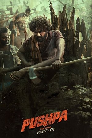 Pushpa - The Rise (2022)